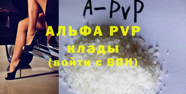 шишки Белоозёрский