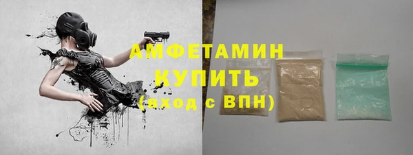 шишки Белоозёрский