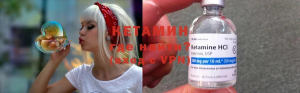 шишки Белоозёрский