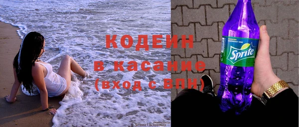 шишки Белоозёрский
