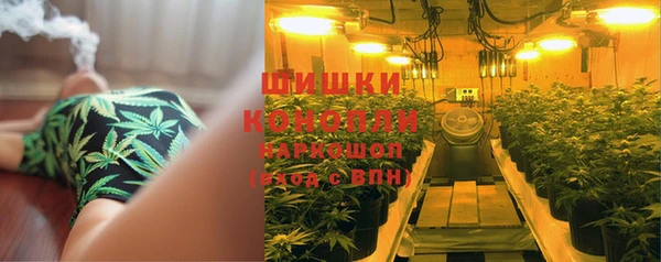 шишки Белоозёрский