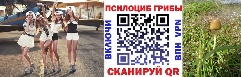 Галлюциногенные грибы прущие грибы  купить наркотики цена  Шенкурск 